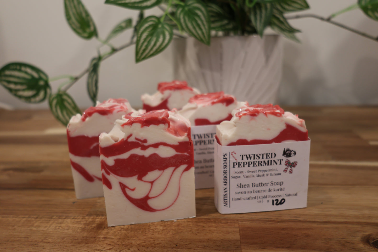 Twisted Peppermint - Winter Collection