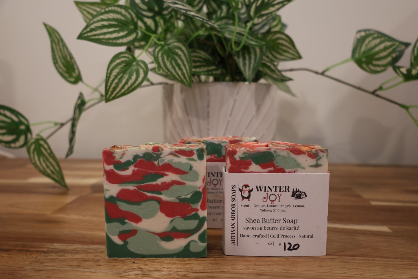 Winter Joy - Winter Collection