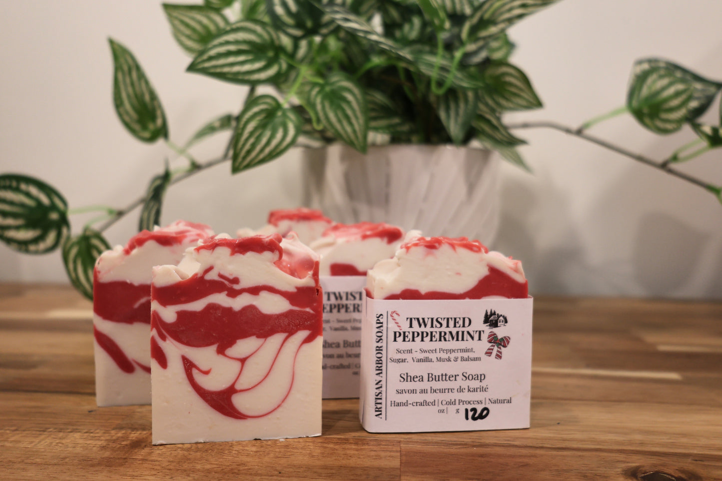 Twisted Peppermint - Winter Collection