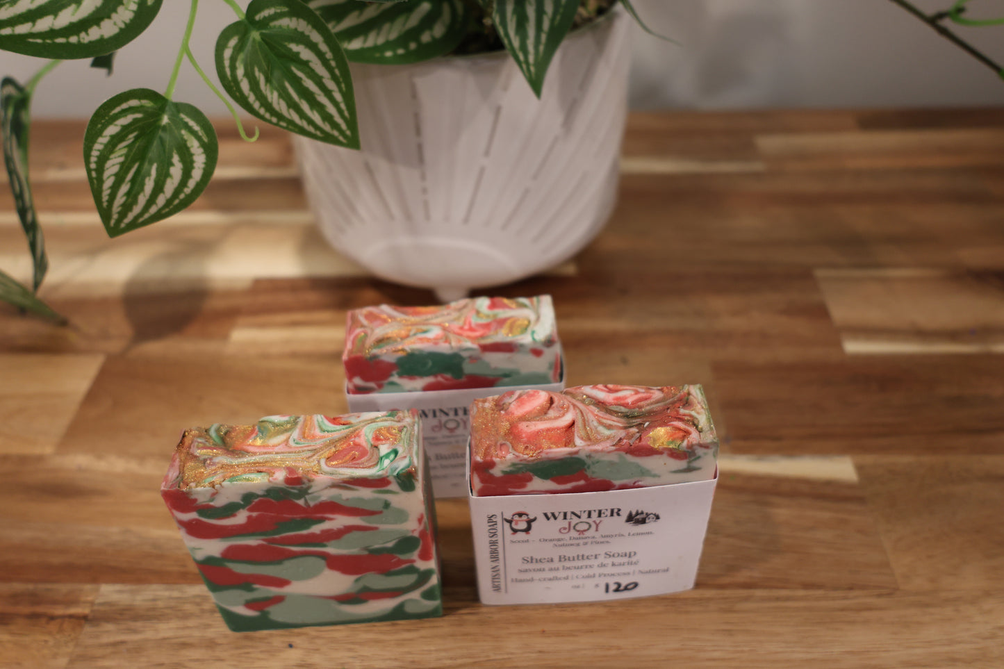 Winter Joy - Winter Collection